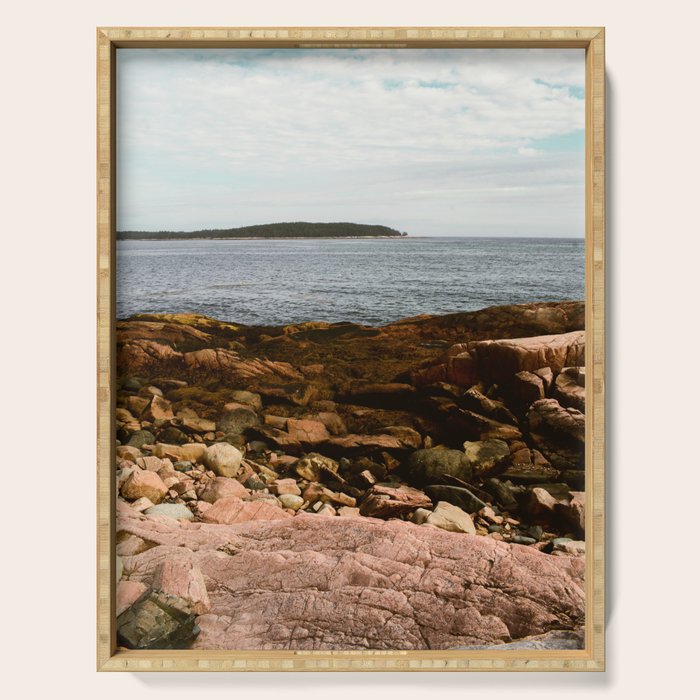 Coastal Life #1 - New England travel photograph - sea and nature art Serving Tray Gallery Image 1