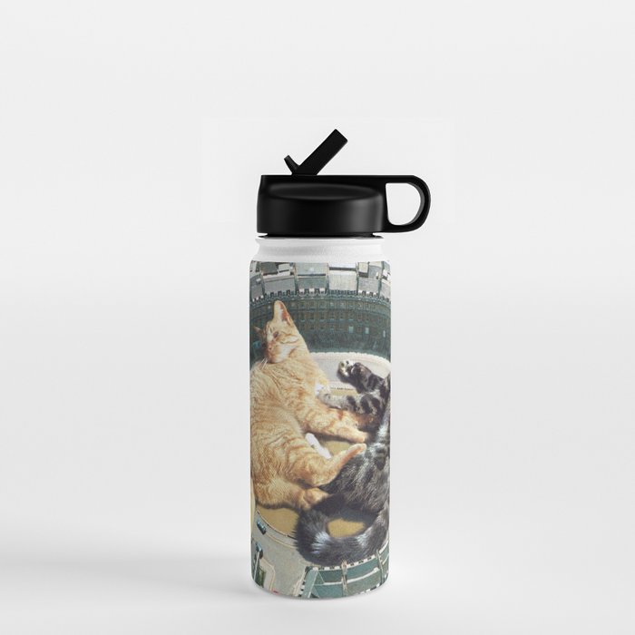 Lazy Cats Roundabout  Water Bottle Gallery Image 1