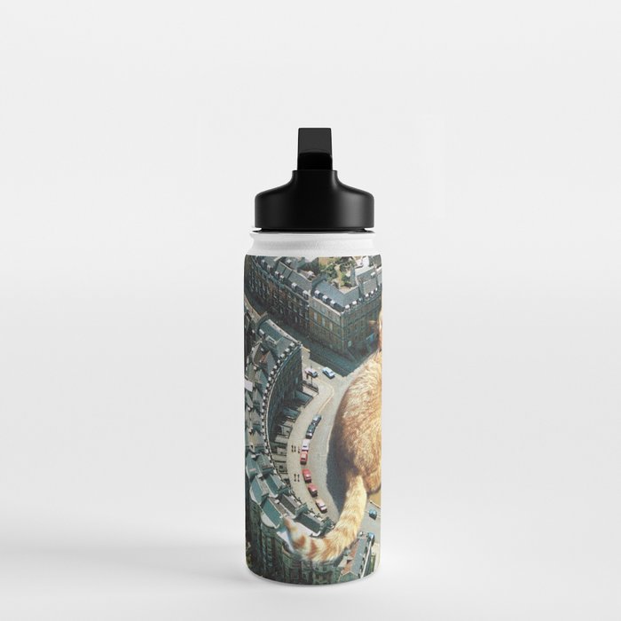 Lazy Cats Roundabout  Water Bottle Gallery Image 3