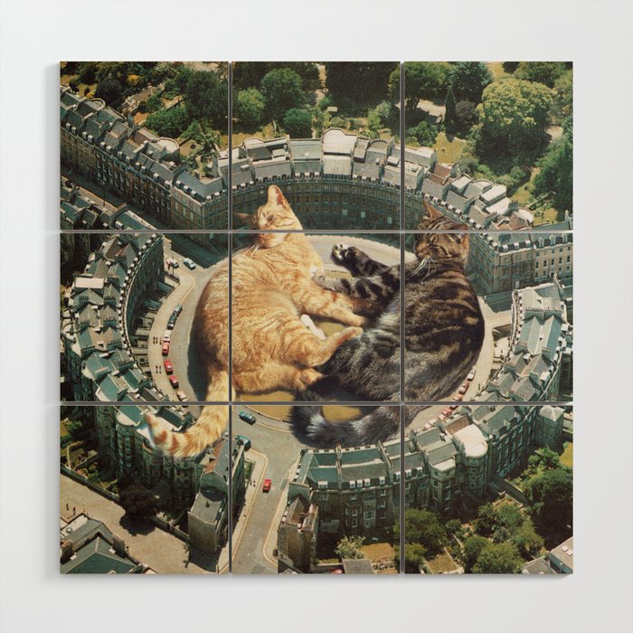 Lazy Cats Roundabout  Wood Wall Art Gallery Image 1