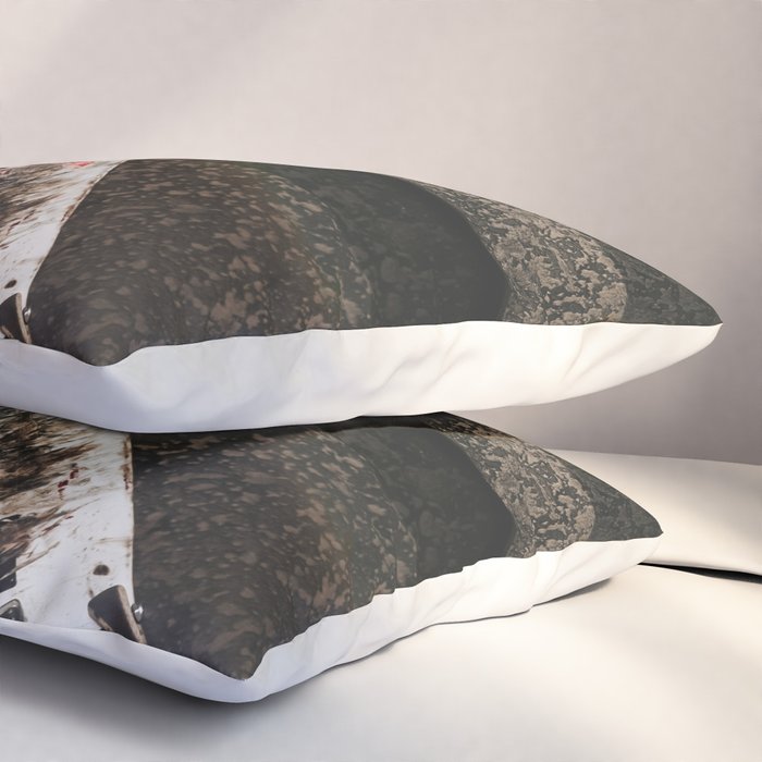 Grungy Skateboard (Color) Pillow Sham Gallery Image 3