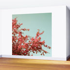 Flourish Wall Mural Gallery Image 2