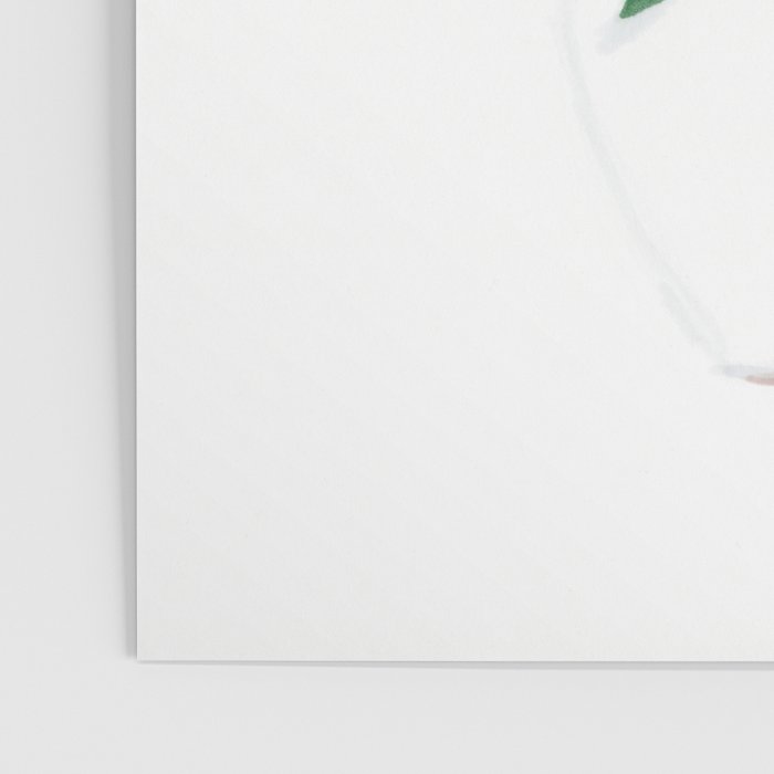 Floral Still Life Poster Gallery Image 3