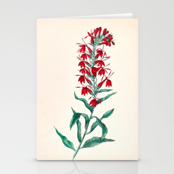  Cardinal flower by Clarissa Munger Badger, 1859 (benefitting The Nature Conservancy) Stationery Card Gallery Image 2