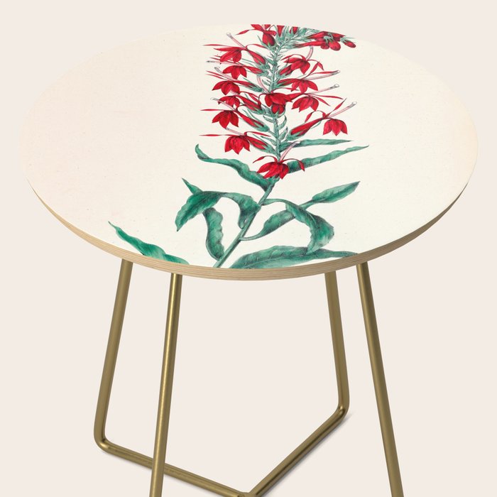  Cardinal flower by Clarissa Munger Badger, 1859 (benefitting The Nature Conservancy) Side Table Gallery Image 2