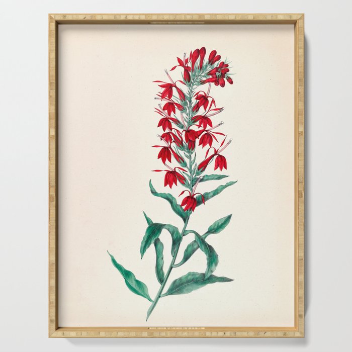  Cardinal flower by Clarissa Munger Badger, 1859 (benefitting The Nature Conservancy) Serving Tray Gallery Image 1