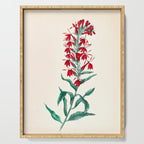  Cardinal flower by Clarissa Munger Badger, 1859 (benefitting The Nature Conservancy) Serving Tray Gallery Image 1
