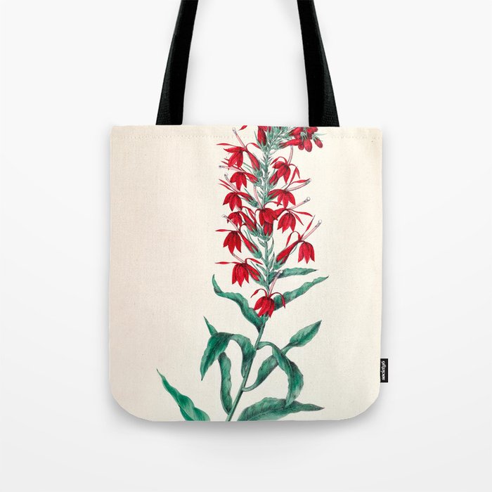  Cardinal flower by Clarissa Munger Badger, 1859 (benefitting The Nature Conservancy) Tote Bag Gallery Image 1