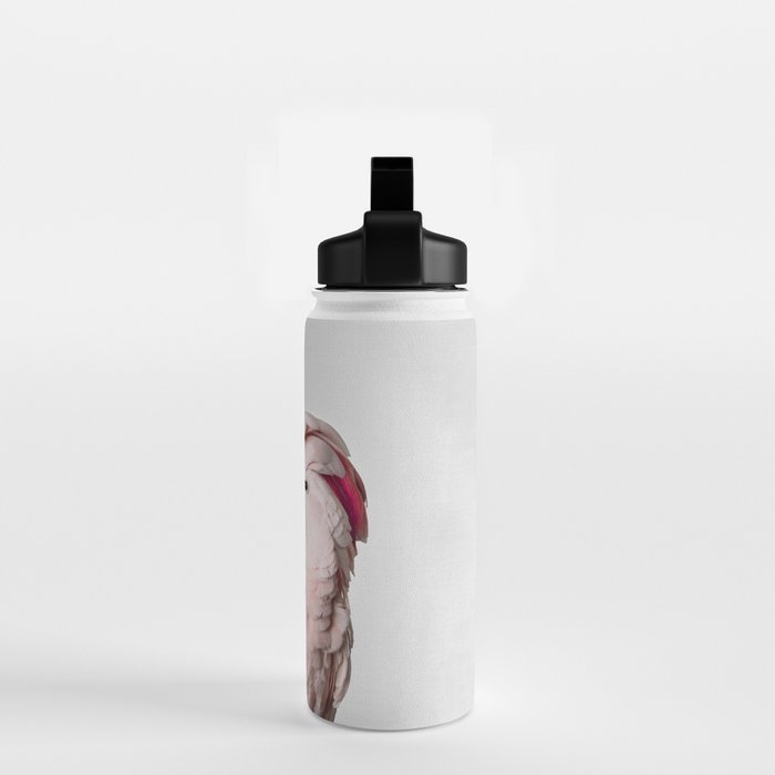 Pink Cockatoo Water Bottle Gallery Image 2