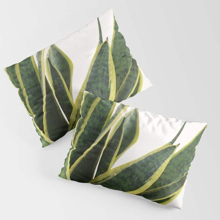 Sansevieria Pillow Sham Gallery Image 3