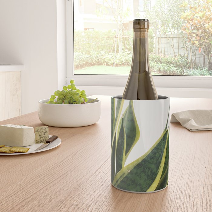 Sansevieria Wine Chiller Gallery Image 4