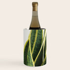 Sansevieria Wine Chiller Gallery Image 2