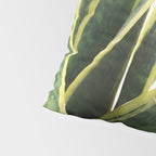 Sansevieria Pillow Sham Gallery Image 4