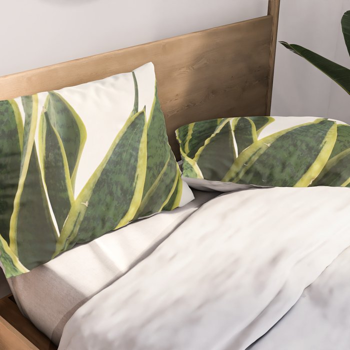 Sansevieria Pillow Sham Gallery Image 2