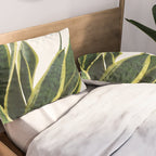 Sansevieria Pillow Sham Gallery Image 2