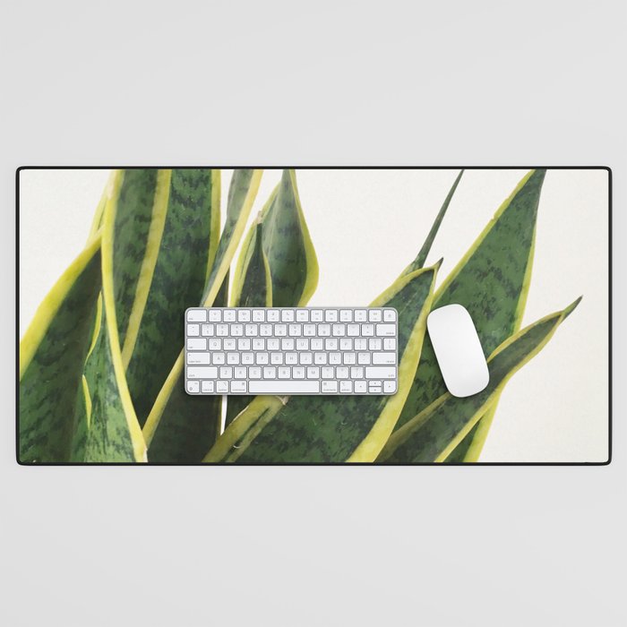 Sansevieria Desk Mat Gallery Image 1
