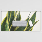 Sansevieria Desk Mat Gallery Image 1
