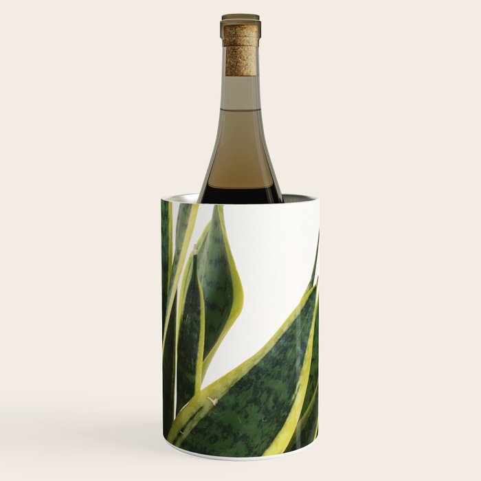 Sansevieria Wine Chiller Gallery Image 1