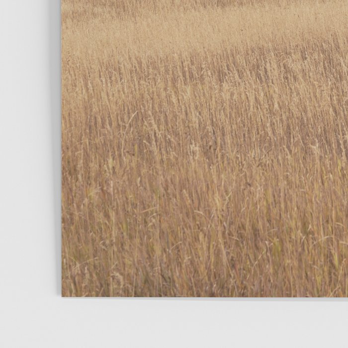 Autumn in Montana | Montana Photography Poster Gallery Image 3