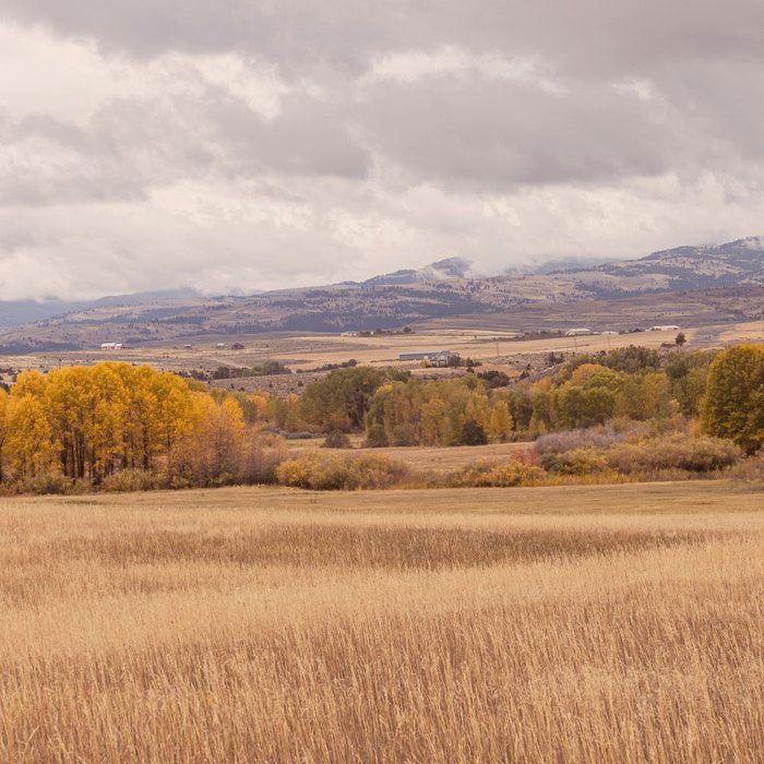Autumn in Montana | Montana Photography Coffee Mug Gallery Image 2