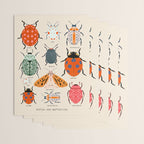 Beetles, butterflies and ladybugs Wrapping Paper Gallery Image 3