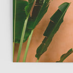 Colors of Santo Domingo | Colonial vibes in the Dominican Republic Poster Gallery Image 3