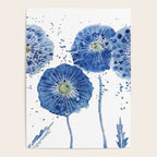 four blue dandelions watercolor Poster Gallery Image 4
