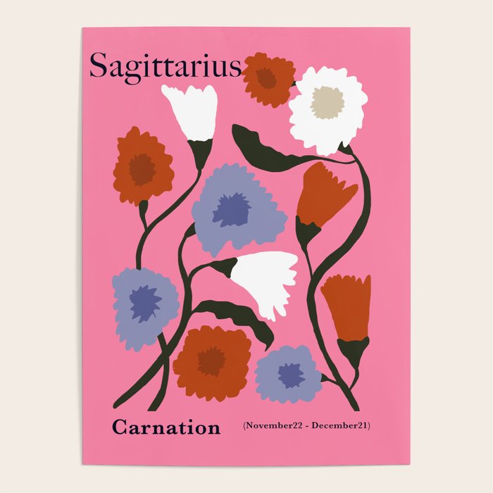 Sagittarius carnation Poster Gallery Image 4