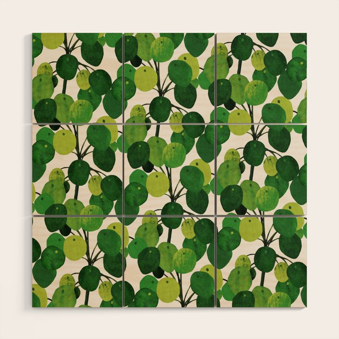 Pilea Peperomioides interior plant Wood Wall Art Gallery Image 1