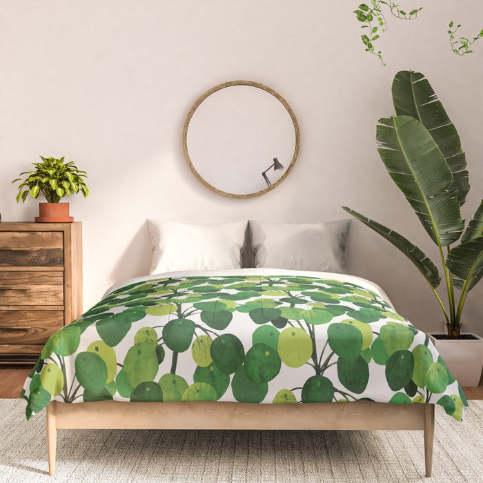 Pilea Peperomioides interior plant Comforter Gallery Image 3