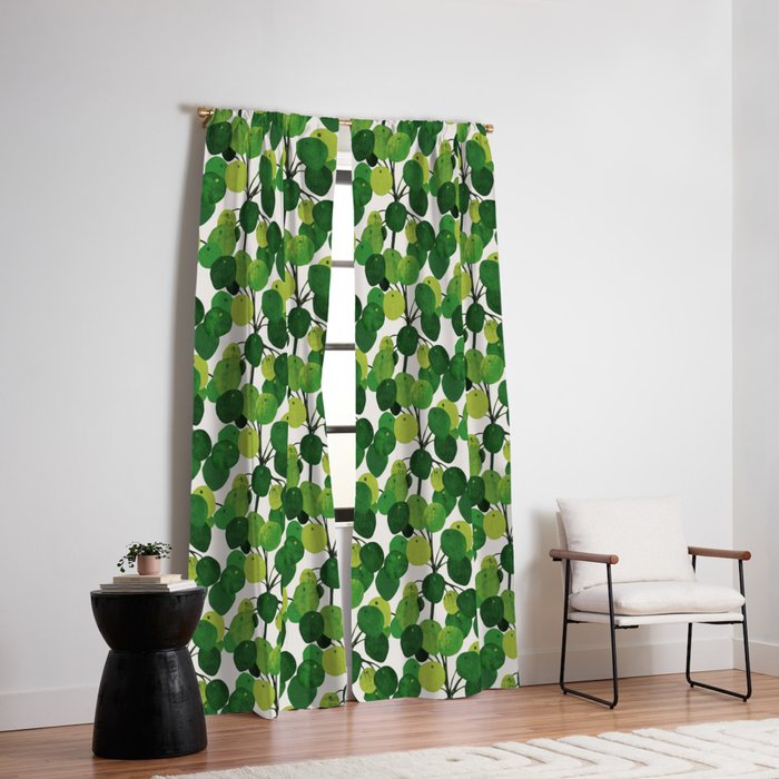 Pilea Peperomioides interior plant Window Curtain Gallery Image 2
