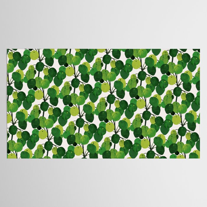 Pilea Peperomioides interior plant Tablecloth Gallery Image 2