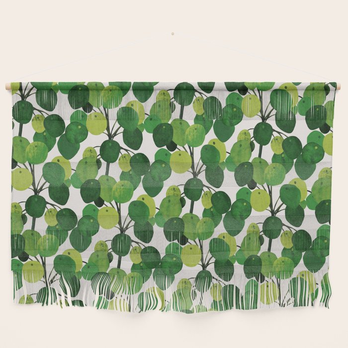Pilea Peperomioides interior plant Wall Hanging Gallery Image 1