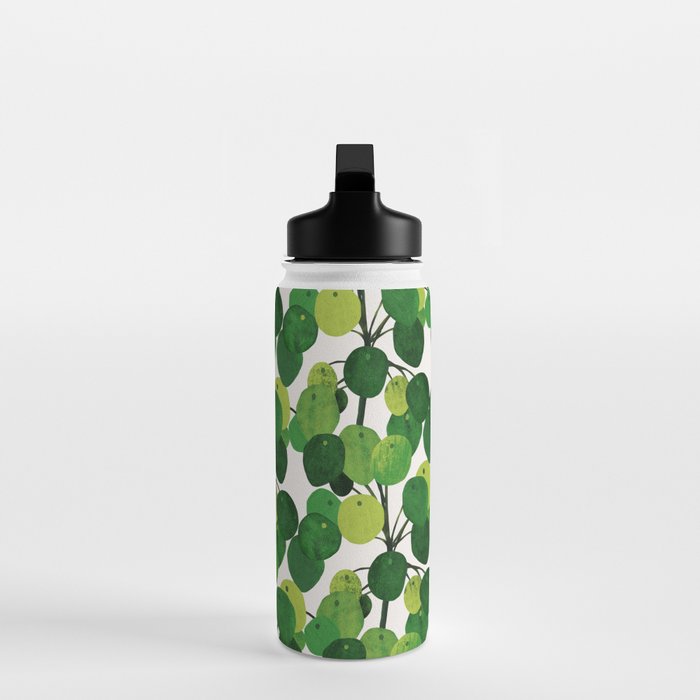 Pilea Peperomioides interior plant Water Bottle Gallery Image 3
