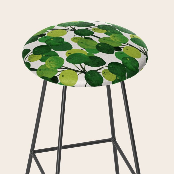 Pilea Peperomioides interior plant Stool Gallery Image 2