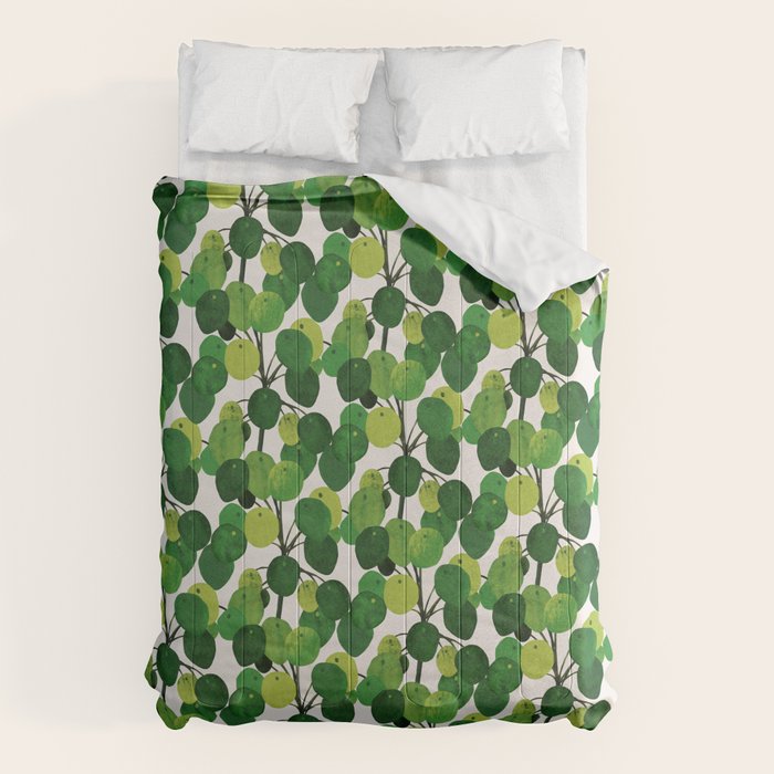 Pilea Peperomioides interior plant Comforter Gallery Image 1