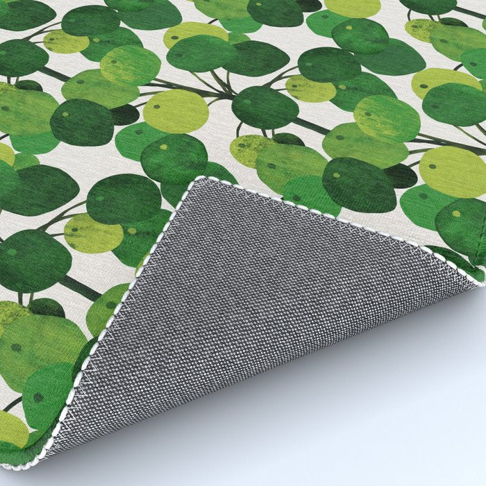Pilea Peperomioides interior plant Rug Gallery Image 4