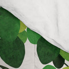 Pilea Peperomioides interior plant Comforter Gallery Image 4