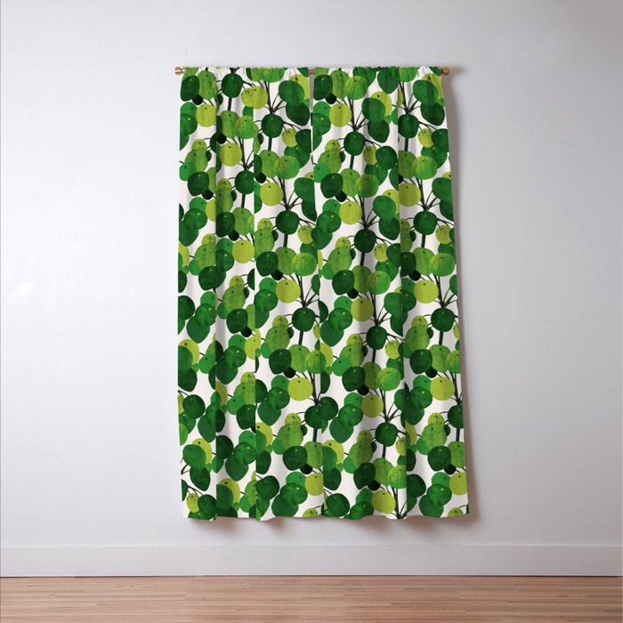 Pilea Peperomioides interior plant Window Curtain Gallery Image 3