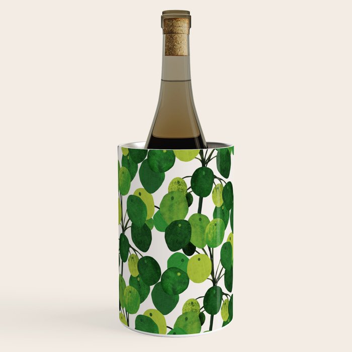 Pilea Peperomioides interior plant Wine Chiller Gallery Image 2
