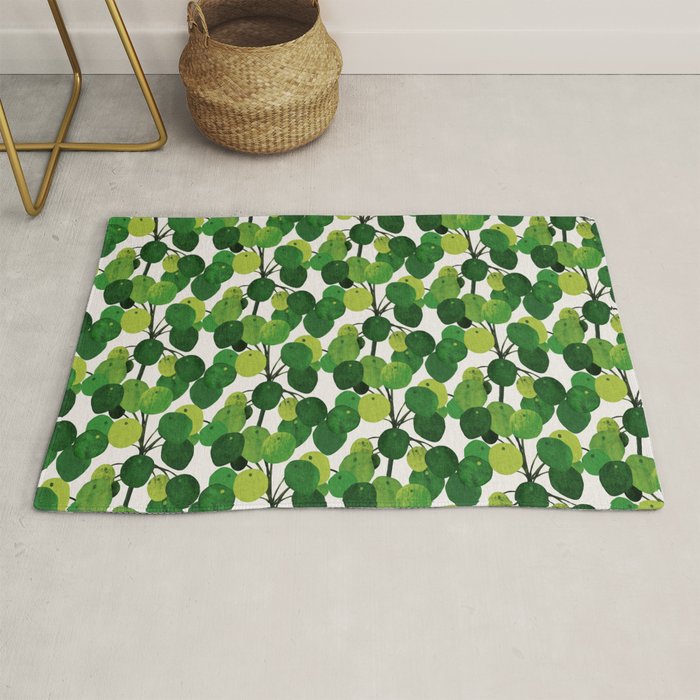 Pilea Peperomioides interior plant Rug Gallery Image 1