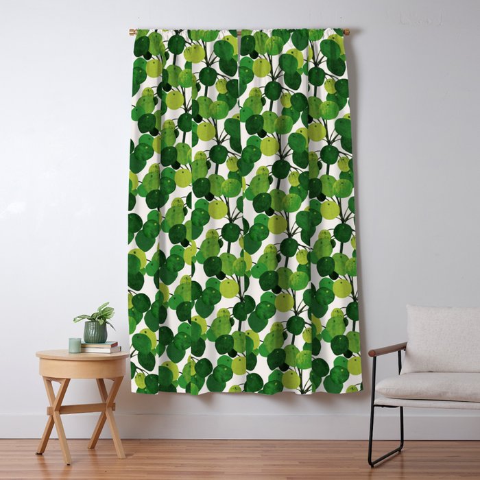 Pilea Peperomioides interior plant Window Curtain Gallery Image 5