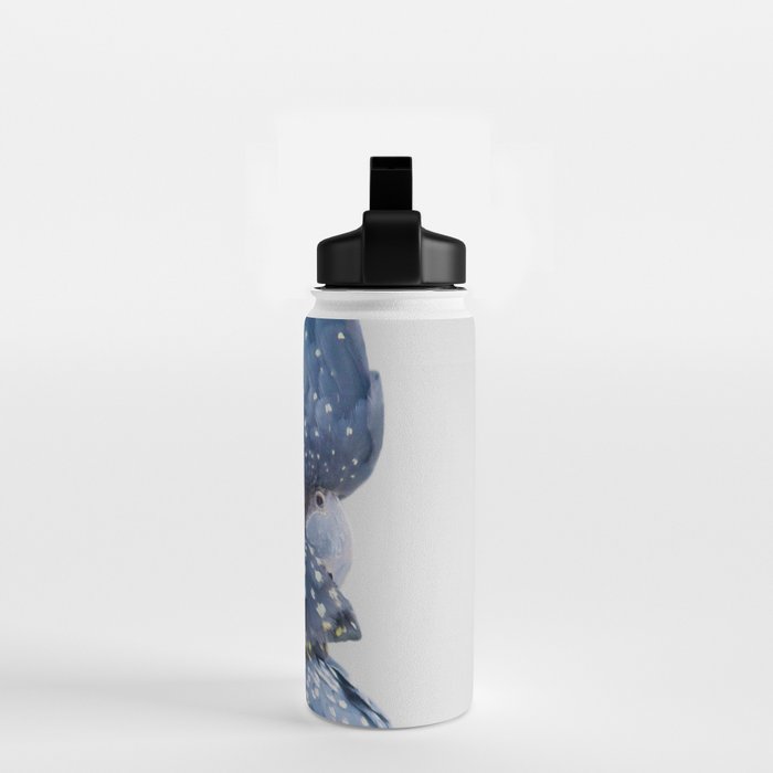 Black Cockatoo Water Bottle Gallery Image 2