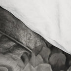 Lady with Birds(portrait) Comforter Gallery Image 4
