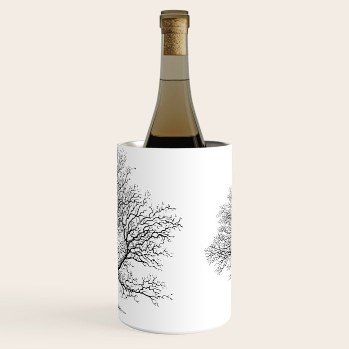 oak tree botanical no2 Wine Chiller Gallery Image 2