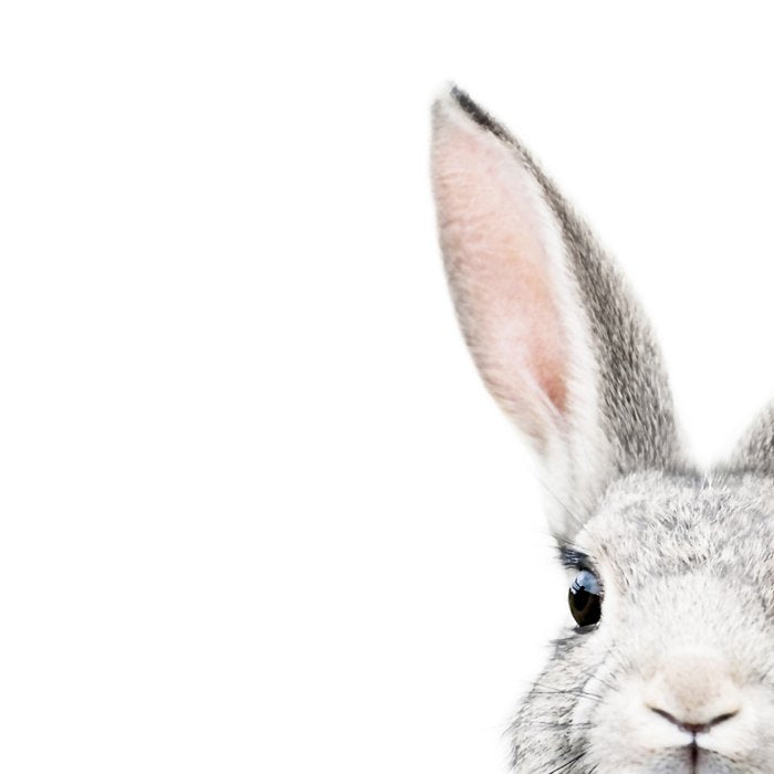 Hello Bunny Coffee Mug Gallery Image 2
