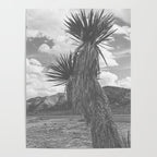 West Texas Black and White Landscape x Glass Mountains Poster Gallery Image 4
