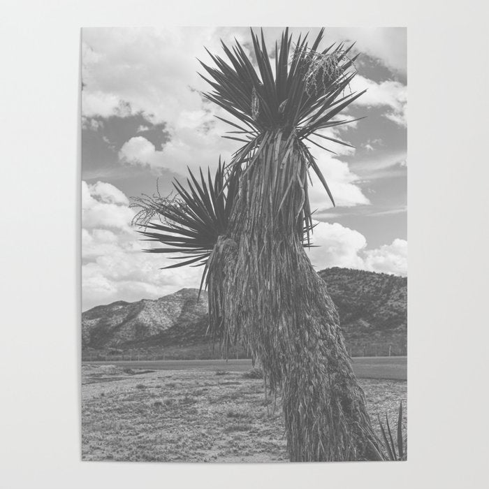 West Texas Black and White Landscape x Glass Mountains Poster Gallery Image 1
