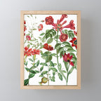 Rousing Red Botanical Mini Art Print Gallery Image 1
