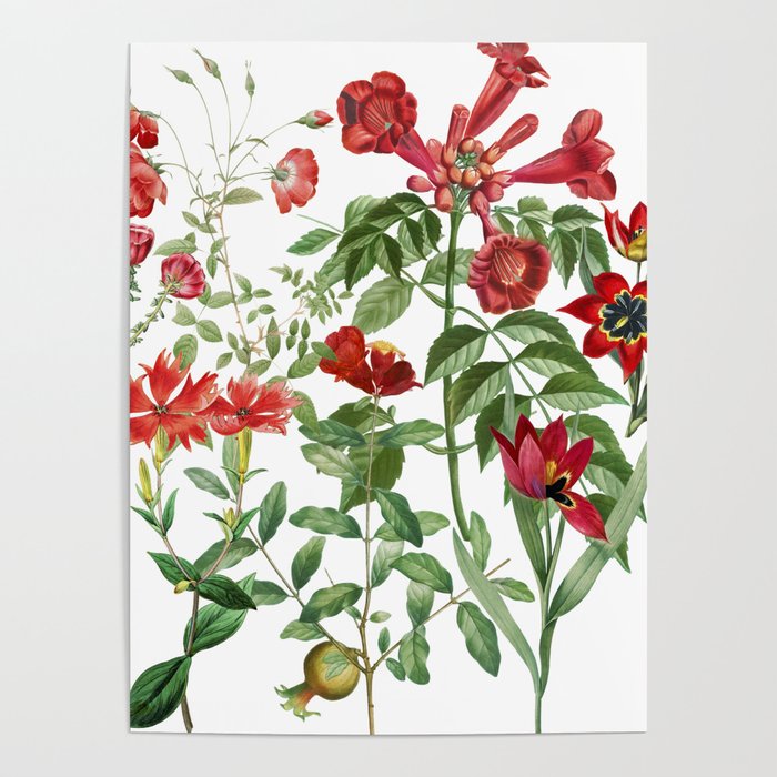 Rousing Red Botanical Poster Gallery Image 4